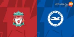 Soi kèo Liverpool vs Brighton 31/3 vòng 30 EPL